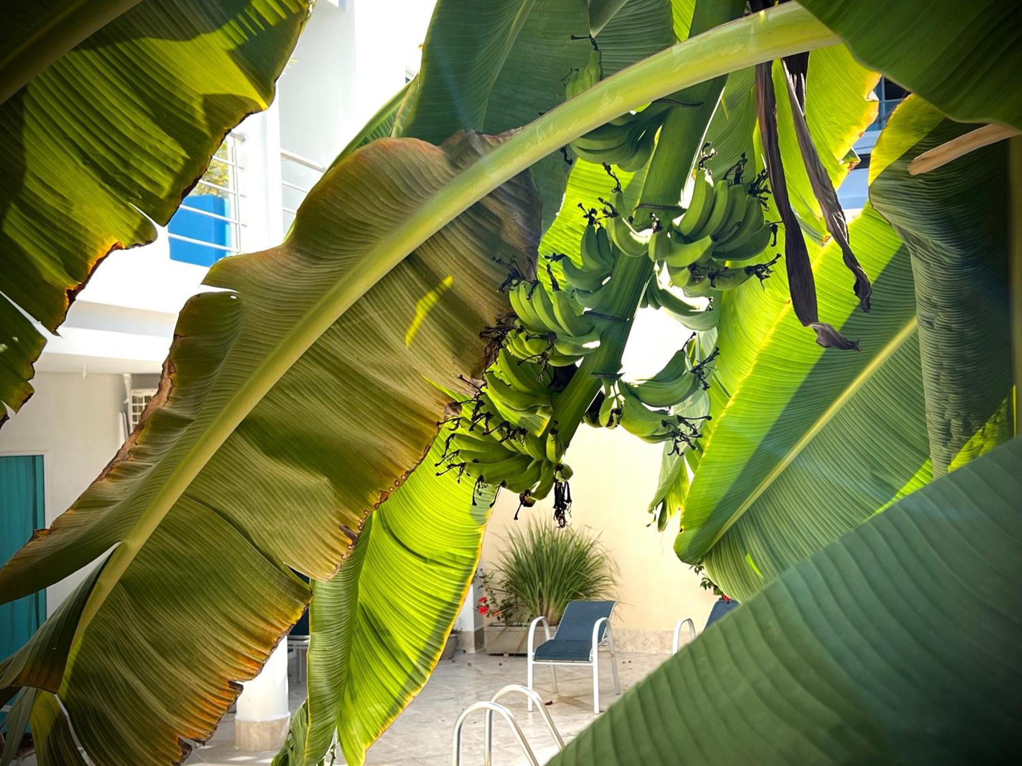 Charme 64 Boutique Cartagena